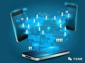 天貓平臺品牌號運營主體變更規則解析 電商生態治理的深化與賦能